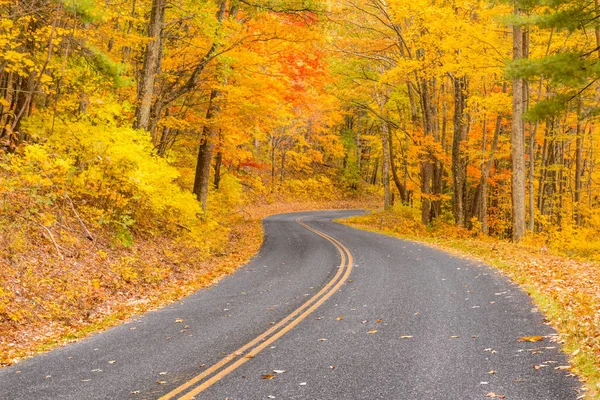 Φθινόπωρο κατά μήκος το Blue Ridge Parkway — Φωτογραφία Αρχείου