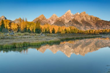 Schwabacher'ın açılış gündoğumu