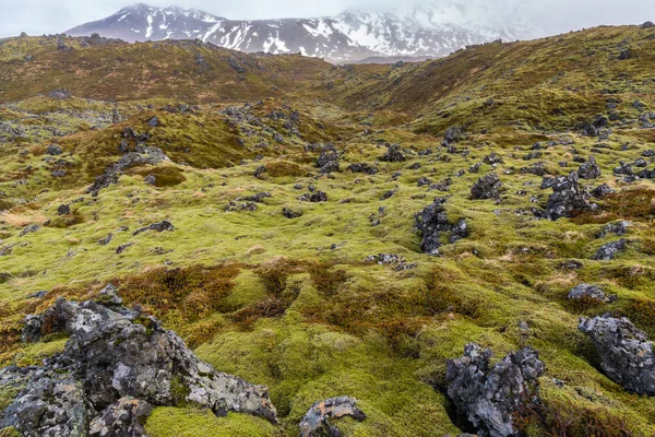 Πεδίο λάβα Ισλανδία — Φωτογραφία Αρχείου