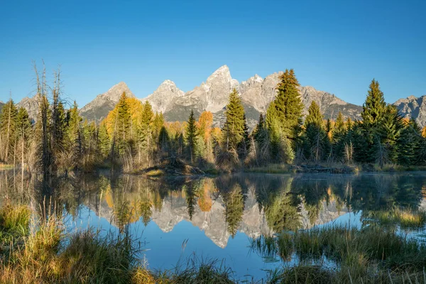 Schwabacher iniş yansıma