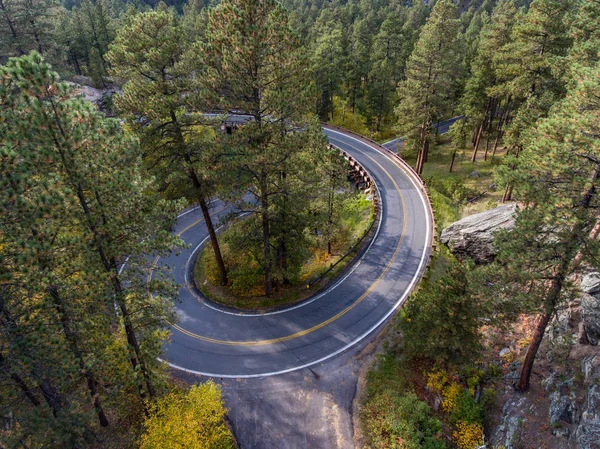 Pont Black Hills Pigtail — Photo
