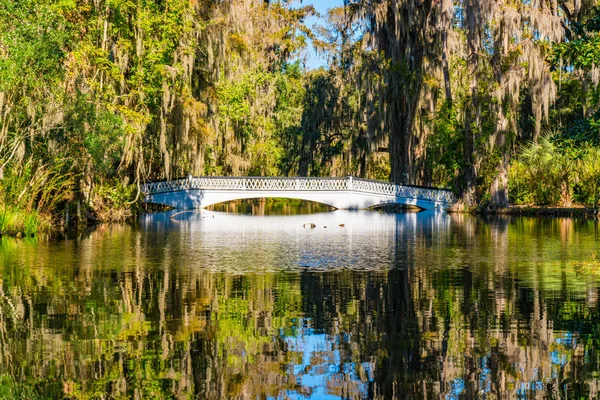 Güney Carolina göl üzerinde beyaz köprü — Stok fotoğraf