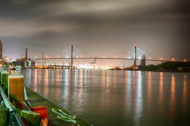 Savannah Nehri boyunca