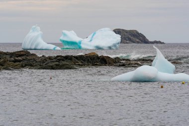 Newfoundland Sahili boyunca buzdağları
