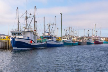 Twillingate Harbor bölgesindeki balıkçı tekneleri