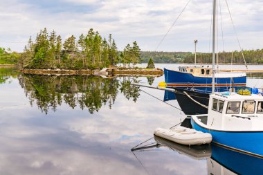 Nova Scotia bir Koyda Balıkçı Tekneleri