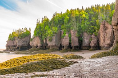 Hopewell Rocks Park, New Brunswick'teki Kaya Oluşumları