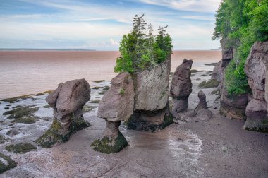 Hopewell Rocks Park, New Brunswick'teki Kaya Oluşumları