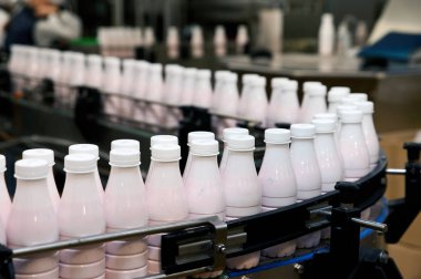 Süt işleme tesisinde süt ve yoğurt üretim hattı