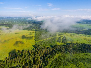 Ladin ormanı ve bulutlar yukarıdan bir dron kullanarak çekim yapar.