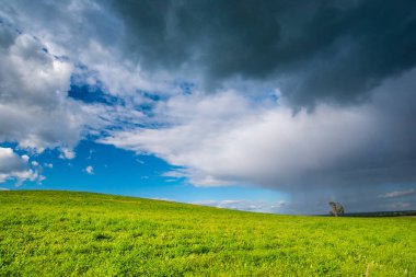 Yeşil bir tepe, üzerinde çimenler ve gri yağmur bulutları var.