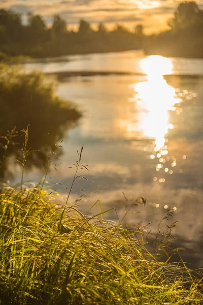 Herbe Sur Rivage Rivière Lever Soleil Sur Fond Flou — Photo