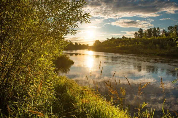 Nehir Kıyısında Ağaçlar Güneşin Yansımasıyla Gün Doğumu — Stok fotoğraf