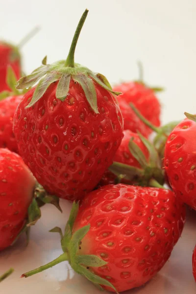 Grandes Fraises Fraîches Sur Fond Blanc — Photo