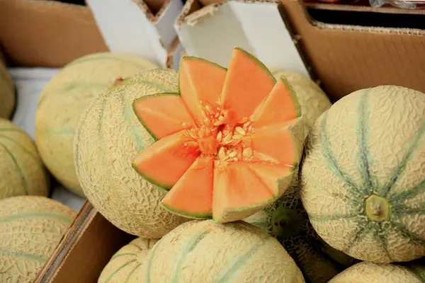 Melones Melón Naranja Fresca Mercado —  Fotos de Stock