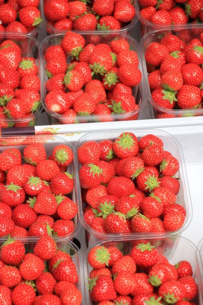 Aardbeien Weergegeven Plastic Dozen Een Markt — Stockfoto