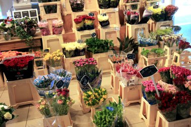 Haarlem, Hollanda - 8th Mayıs 2016: çiçek dükkanı bir süpermarkette. Metin: ürün açıklaması Euro Hollanda, fiyatlarındaki.