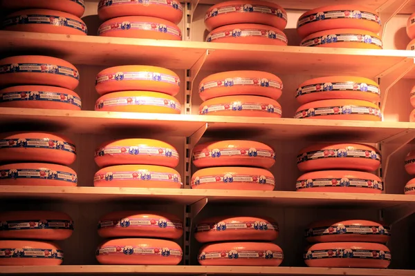 ハールレム オランダ 2016 スーパーでオランダ ノールト Woudse および農夫のチーズ ラベル上のテキスト オランダ 農家のチーズ製品の説明 — ストック写真