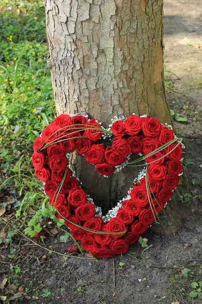 Flores Simpatía Forma Corazón Flores Funerarias Cerca Árbol Rosas Rojas — Foto de Stock