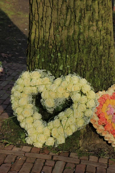 Flores Simpatia Forma Coração Flores Funerárias Perto Uma Árvore Rosas — Fotografia de Stock