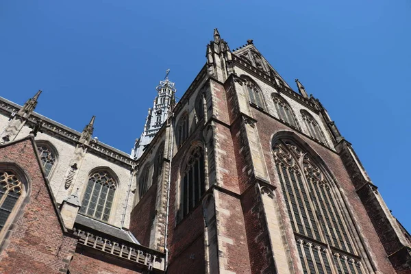 Haarlem Netherlands July 8Th 2018 Saint Bavo Church Reformed Protestant — Stock Photo, Image