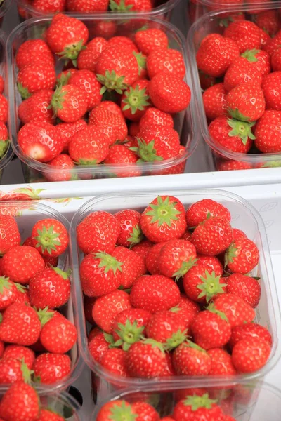 市场上塑料盒中显示的草莓 — 图库照片
