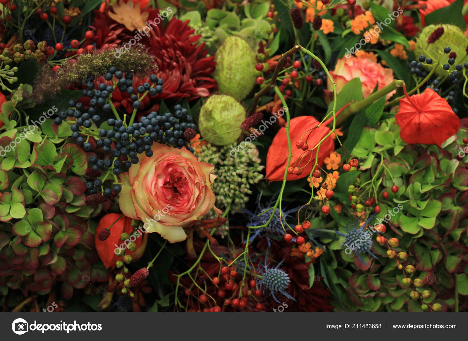 Mixed Autumn Flower Arrangement Various Flowers Different Autumn