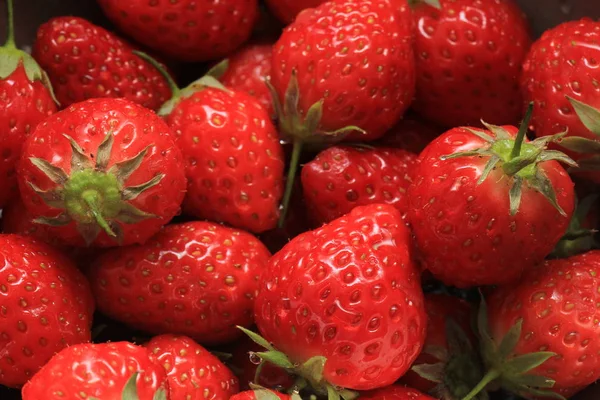 Ein Haufen Frischer Und Köstlicher Erdbeeren — Stockfoto