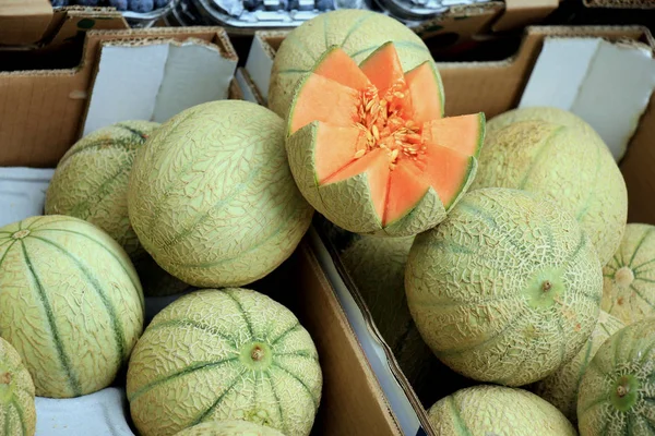 Fräsch Orange Cantaloupe Meloner Marknad — Stockfoto