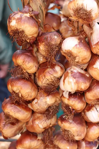 Ajo Fresco Ahumado Puesto Mercado — Foto de Stock