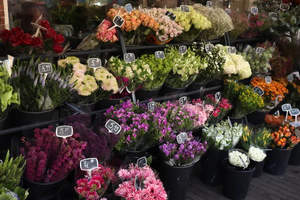 Haarlem Hollandia Október 2018 Különböző Fajta Virág Vödör Egy Virágbolt — Stock Fotó
