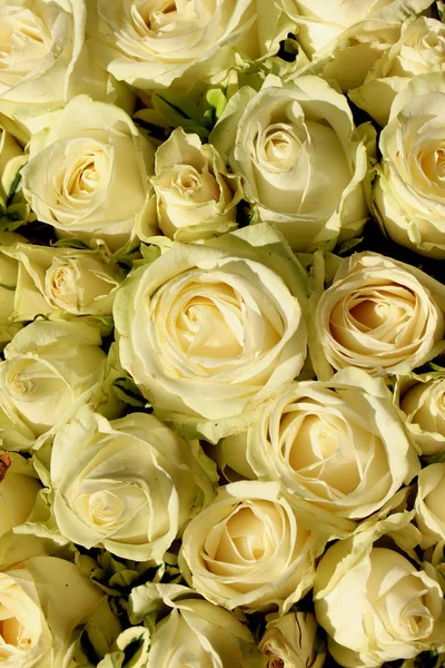 Kwiatów Układ Białe Róże Białe Gipsówki Lub Gipsówek — Zdjęcie stockowe
