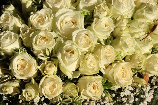 Floral Arrangement White Roses White Gypsophila Baby Breath — Stock Photo, Image