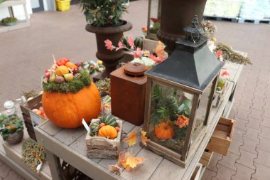 Velserbroek, Hollanda, 17th Ekim 2018: sonbahar dekorasyonları bir mağaza görüntüleme. Metin etiketleri hakkında: fiyatları ve ürün bilgilerini Felemenkçe