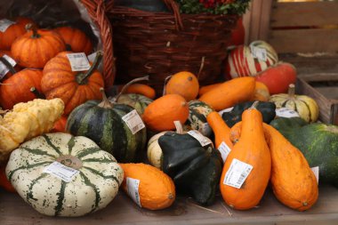 Velserbroek, Hollanda, 17th Ekim 2018: sonbahar dekorasyonları bir mağaza görüntüleme. Metin etiketleri hakkında: fiyatları ve ürün bilgilerini Felemenkçe