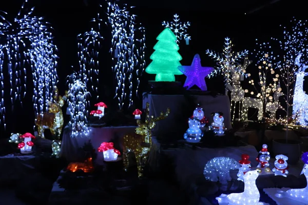 Aalsmeer Holanda Novembro 2018 Iluminação Natal Várias Formas Uma Loja — Fotografia de Stock