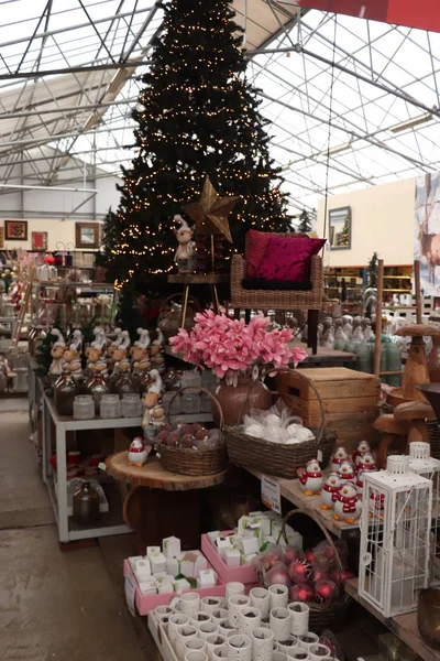 Aalsmeer Países Bajos Noviembre 2018 Decoraciones Navideñas Una Tienda Decoración —  Fotos de Stock