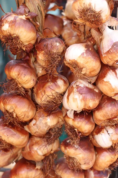 Vers Gerookte Knoflook Een Marktkraam — Stockfoto