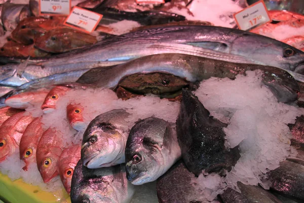 Peces Mar Frescos Sobre Hielo Picado Una Pescadería Etiquetas Precio —  Fotos de Stock