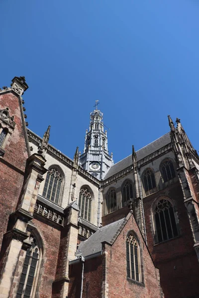 Haarlem Nederland Juli 2018 Sint Bavo Kerk Een Hervormde Protestantse — Stockfoto
