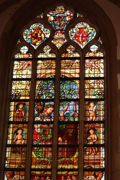 Haarlem Niederlande Oktober 2018 Buntglasfenster Mit Hellen Farben Der Kirche — Stockfoto