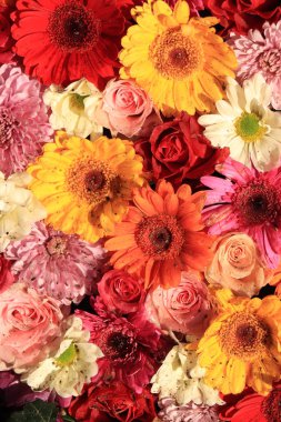 Bir düğün için çiçek düzenleme karışık: pembe, sarı ve kırmızı güller