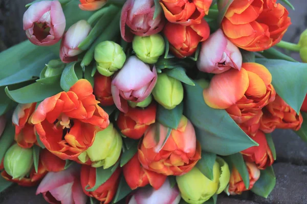 Tulipas Vermelhas Laranja Buquê Primavera Fresco — Fotografia de Stock