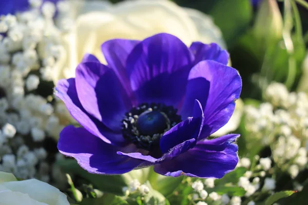 Buquê de noiva em azul e branco — Fotografia de Stock