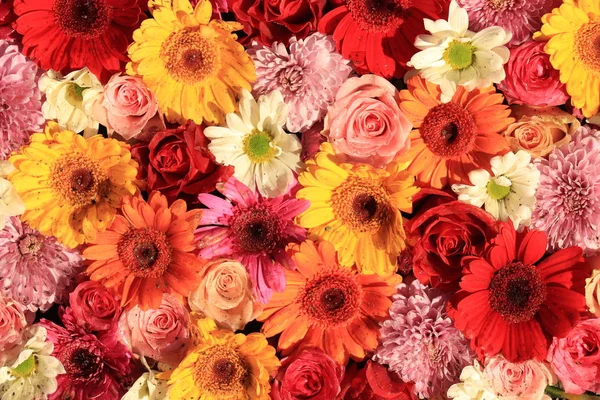 Arranjo colorido da flor do casamento — Fotografia de Stock