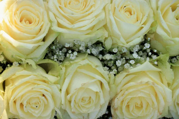 White roses and Gypsophila — Stock Photo, Image