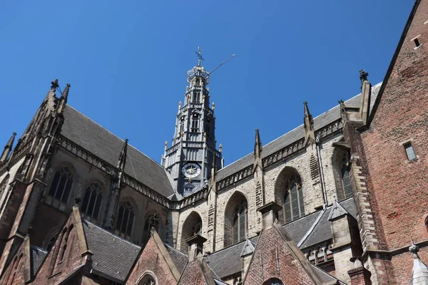 Haarlem, Hollandia-július 8 2018: Szent Bavo templom — Stock Fotó