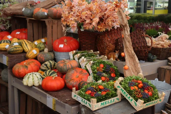 Velserbroek, Pays-Bas, 17 octobre 2018 : décorations d'automne — Photo