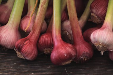 bir Pazar taze sarımsak