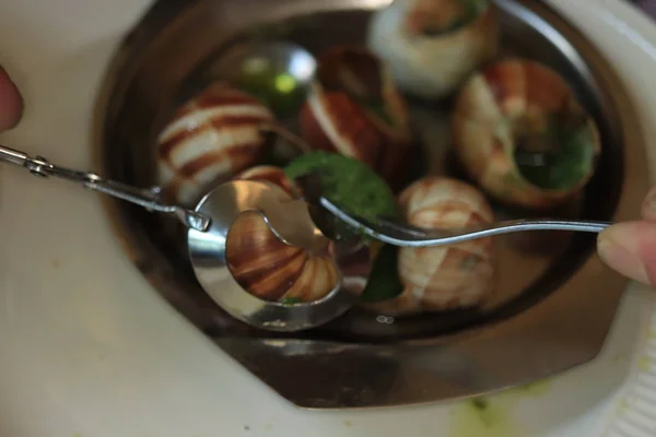 Escargots de Bourgogne — Fotografia de Stock